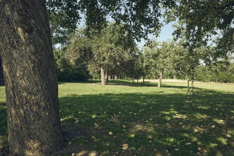 20250813 Stadt Linden Liegenschaften 0039