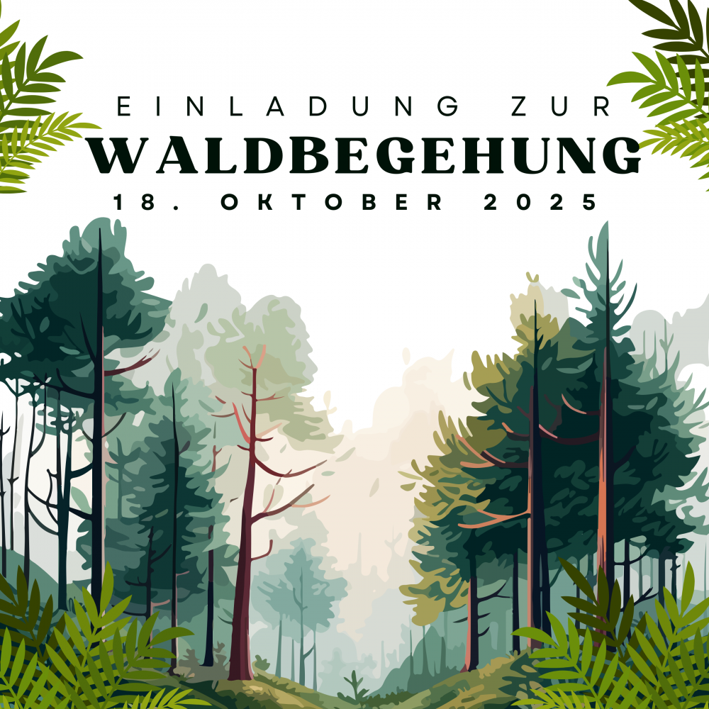 Waldbegehung